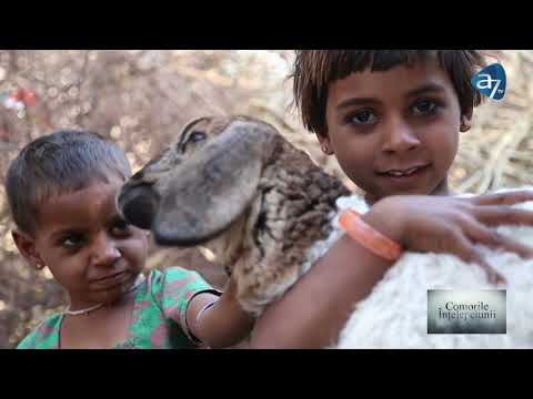 TRĂIND ÎN LUMINA CRUCII - COMORILE ÎNȚELEPCIUNII CU DANIEL BEREȘ, ION NEGRICI, LUCIAN GHIOALDĂ