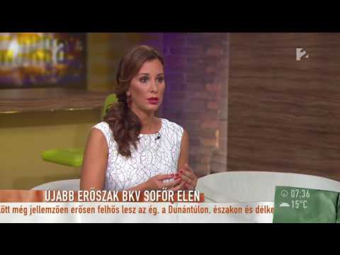 Újabb erőszak BKV sofőr ellen - tv2.hu/mokka