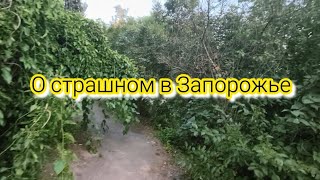 ДРОНЫ, ШАХЕДЫ И ПРОЧЕЕ В ЗАПОРОЖЬЕ 7 АВГУСТА 2026 