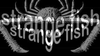 'strange fish one' - a new album on 'Fruits de Mer Records' - music by Craig Padilla (excerpts)