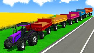 SORGHUM HARVEST & MULTI TRAILER CONVOY Challenge 🚜🌾 Farming Simulator 25