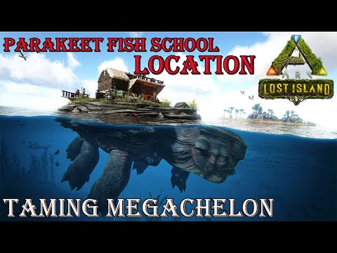 How To Tame MEGACHELON On lost Island | Parakeet Fish Spawn Location | Abilities | Ark Survival |