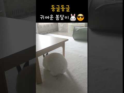 오늘도 귀여운 봄달