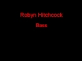 Robyn Hitchcock Bass + Lyrics