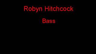 Robyn Hitchcock Bass + Lyrics