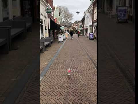 SC Franeker 20 day challenge: dag 2 flesje schieten goud