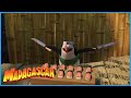 DreamWorks Madagascar Best Of The Penguins Madagascar Movie Cli