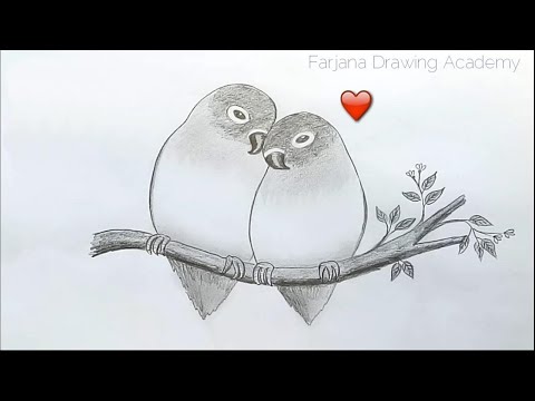 How to draw two parrots in love by pencil sketch