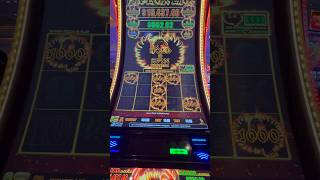 Every Bonus Chasing Phoenix Link Meter #slots #casino #gambling #slot
