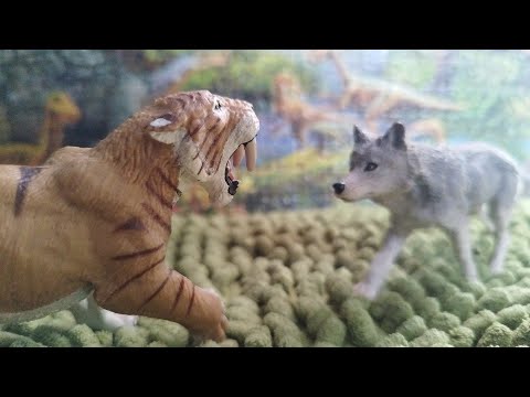 Smilodon VS Grey Wolf