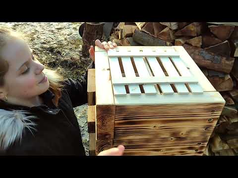 Začínáme se včelkami