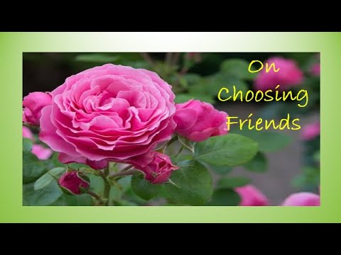 Learn speech making skills - For kids. Vrinda's speech on Nature and the Man and on choosing frineds