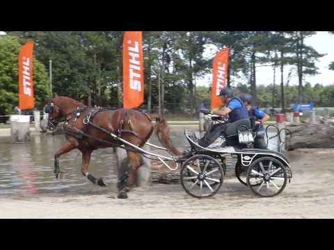 BORDET Luca, ITA, CH M A1, Kronenberg, Marathon Ob6, 01 09 2018