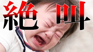 猿に追いかけられるホラーゲームがマジ怖すぎて絶叫しまくりぃ！-Dark Deception 実況#1
