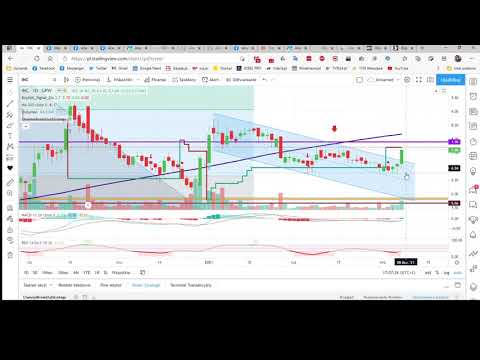 2021.03.07 Analiza spółek z ankiety z grupy premium