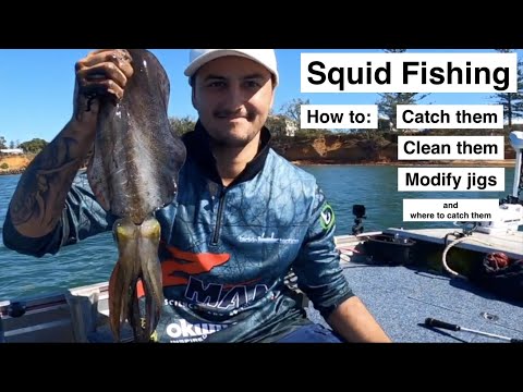 Catch more SQUID, How to Catch, Clean, modify jigs and where to go. Squid fishing masterclass.