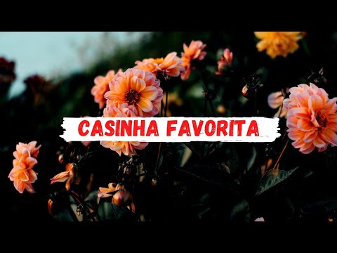 CASINHA FAVORITA - FUNDO MUSICAL PARA ORAR, LER A BÍBLIA E PARA PREGAR - POR WF FUNDOS MUSICAIS