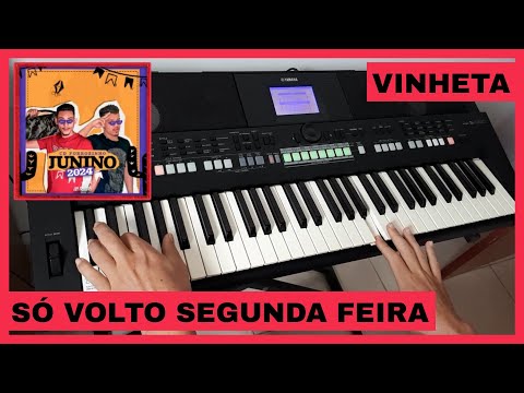 Só Volto Segunda Feira - Os Feras do Pizeiro