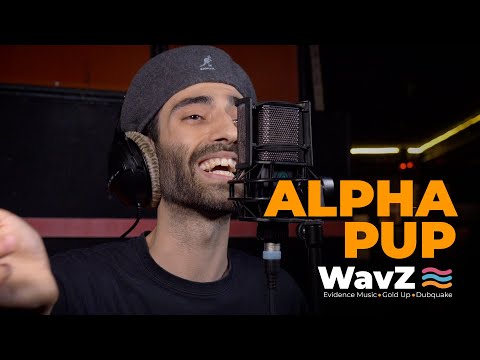 Alpha Pup - Freestyle 2 | WavZ Session [Evidence Music & Dubquake & OBF]