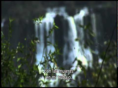 Nuevo Sedal Clima Resist