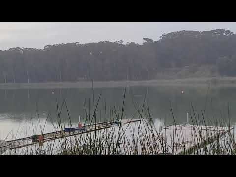 New Oxidean Marine High rake High Speed CNC Props!