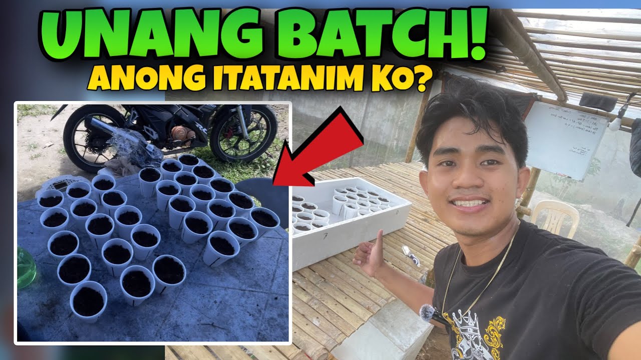 📌 UNANG BATCH! ANONG ITATANIM KO? @Justinesdailylifeph 