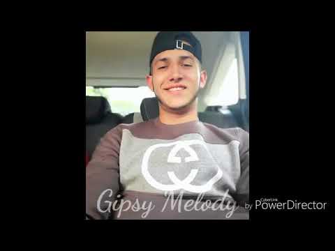 Gipsy Melody
