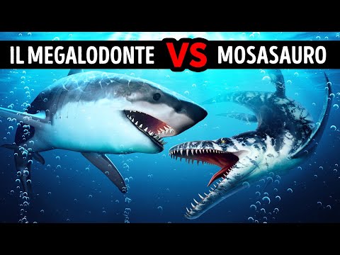 Che Succederebbe se il Megalodonte Incontrasse il Mosasauro, Gigante Dinosauro Marino