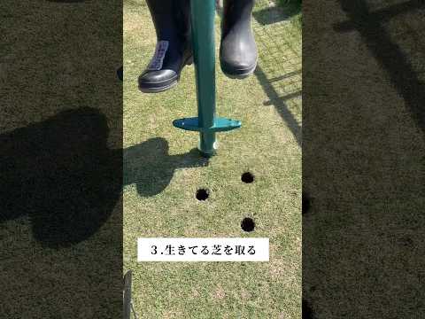 広い場所の除草方法は？雑草を完全かつ迅速に除去する 4 つの自然な方法  庭園