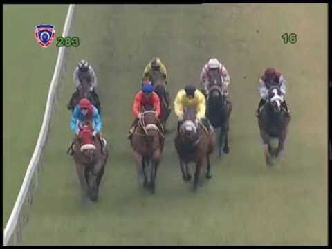 28th MEETING 2016 -  Race 03