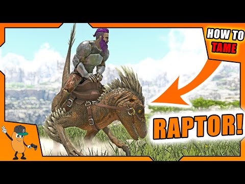HOW TO TAME A RAPTOR | ARK How To Tame Series