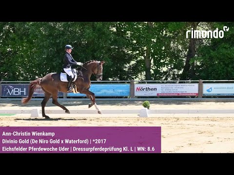 BuCha-Quali Eichsfelder Pferdewoche Uder – Ann-Christin Wienkamp & Divinio Gold