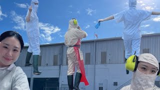 호주워홀 양공장 워커의 하루 브이로그 🇦🇺🐑