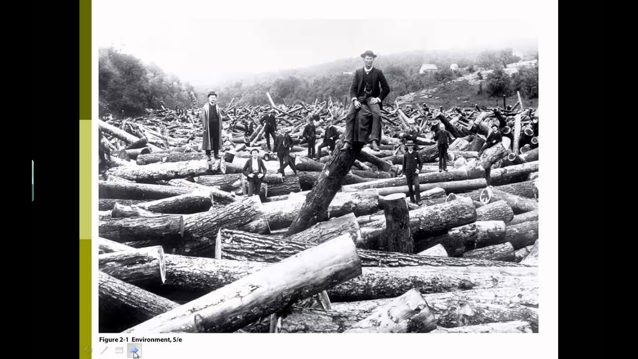 Environmental ethics Part 1