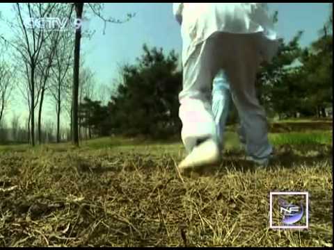 【New Frontier HQ】 Chinese Kungfu (06) Wudang Kungfu