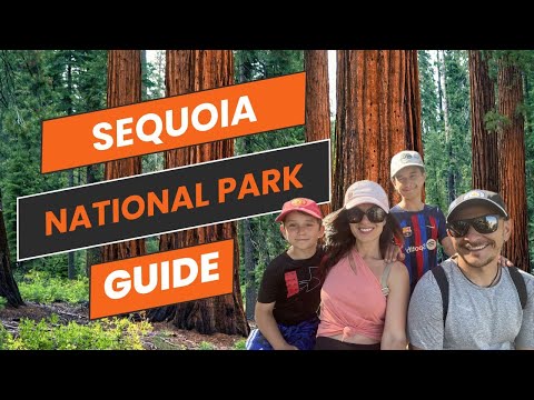 Your Ultimate Guide to Visiting Sequoia National Park, California with kids. #travelusa #familytrip