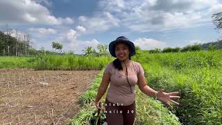 Download lagu ngebolang Pergi ke hutan cari ubi hutan mp3