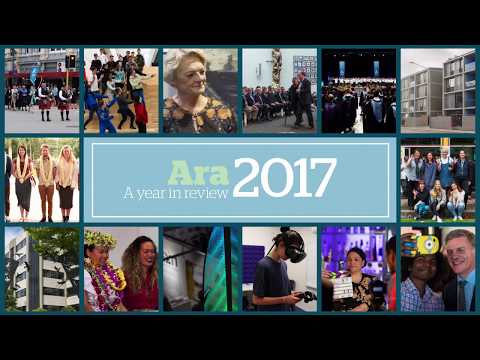 Ara 2017 Year in Review