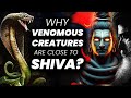 Why Venomous Creatures Close To Shiva? | Venom | Naga | Scorpions | Sadhguru | Adiyogi