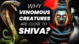 Why Venomous Creatures Close To Shiva? | Venom | Naga | Scorpions | Sadhguru | Adiyogi