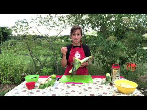 Prepara Salsa de Tomate Fresco, Maíz Dulce y Frijoles Negros con Lala