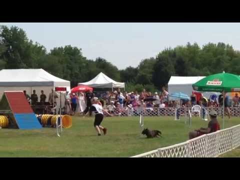 EO 2014 Ungarn - Finale Einzel - Claudia Zenner & Wii