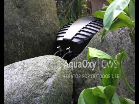 Watch Video on YouTube