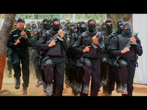 14 Weeks NSG Commando Training - 90 Days Probation - 9 Months Advance NSG Training #nsgcommando