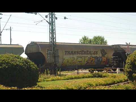 LTE 480 029-es transmontana-ja indul Kemecse állomásról Gyékényes, Murakeresztúr irányába