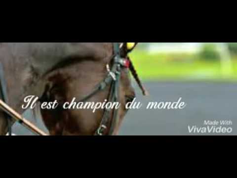 Timoko  vs Bold eagle