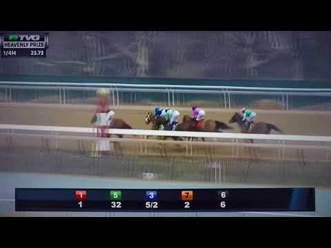 HEAVENLY PRIZE INVITATIONAL (G STAKES) 3/10/18 - DIVINE MISS GREY !!