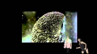 Every Time We Say Goodbye