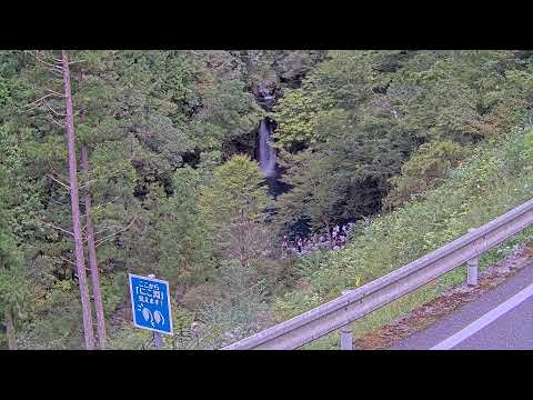 にこ淵のライブカメラ映像