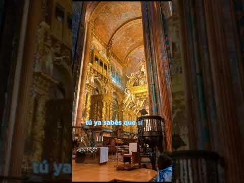 los amigos en Compostelana